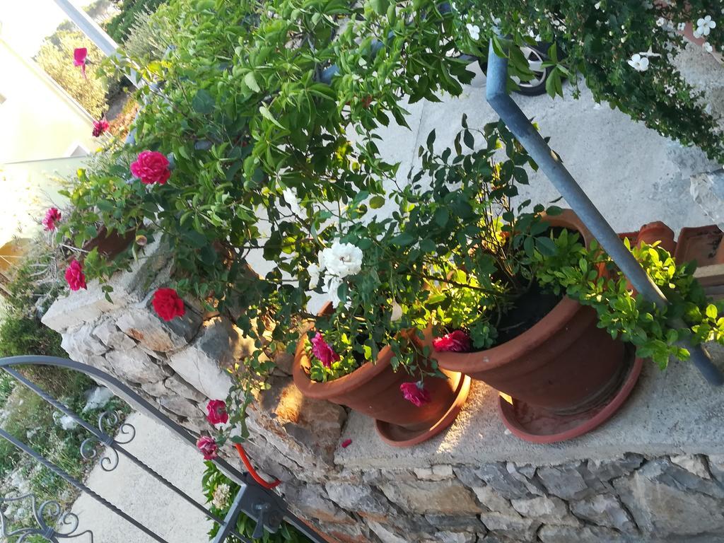 Apartment Neno - Terrace & Parking Veli Lošinj Eksteriør billede