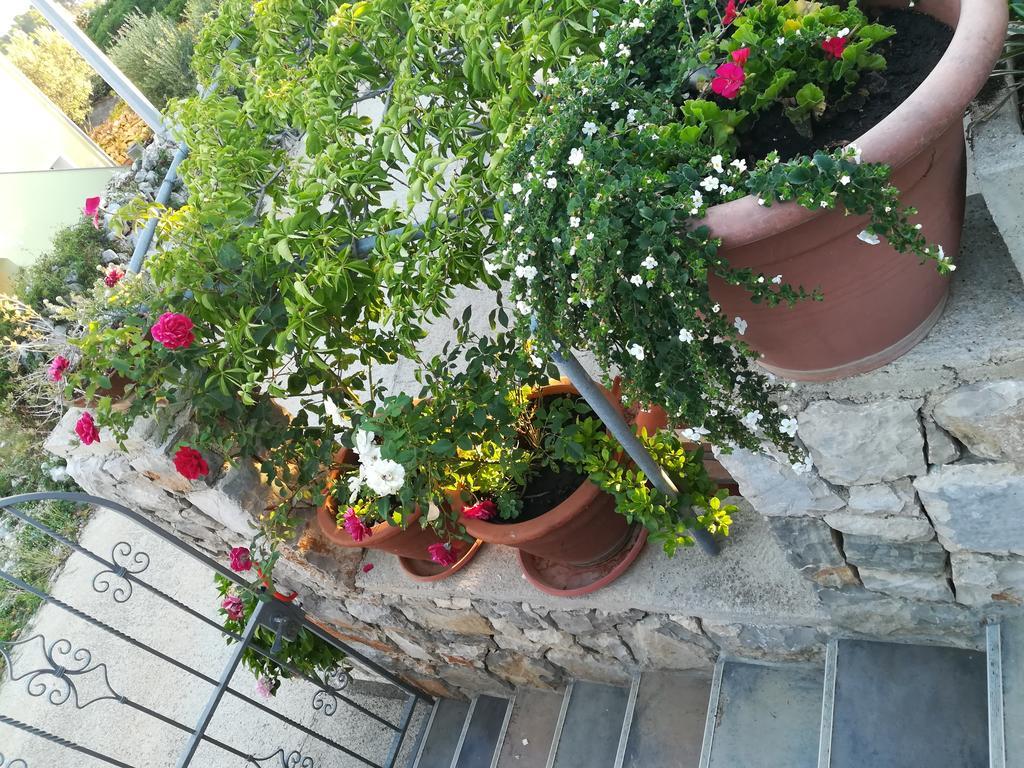 Apartment Neno - Terrace & Parking Veli Lošinj Eksteriør billede
