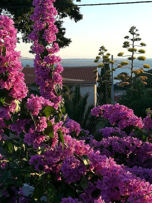 Apartment Neno - Terrace & Parking Veli Lošinj Eksteriør billede