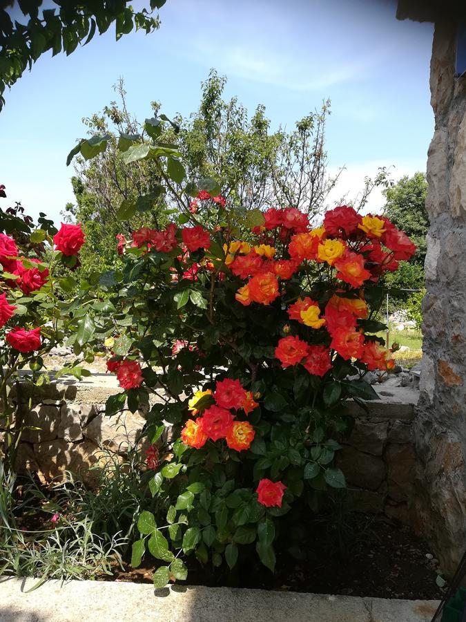 Apartment Neno - Terrace & Parking Veli Lošinj Eksteriør billede