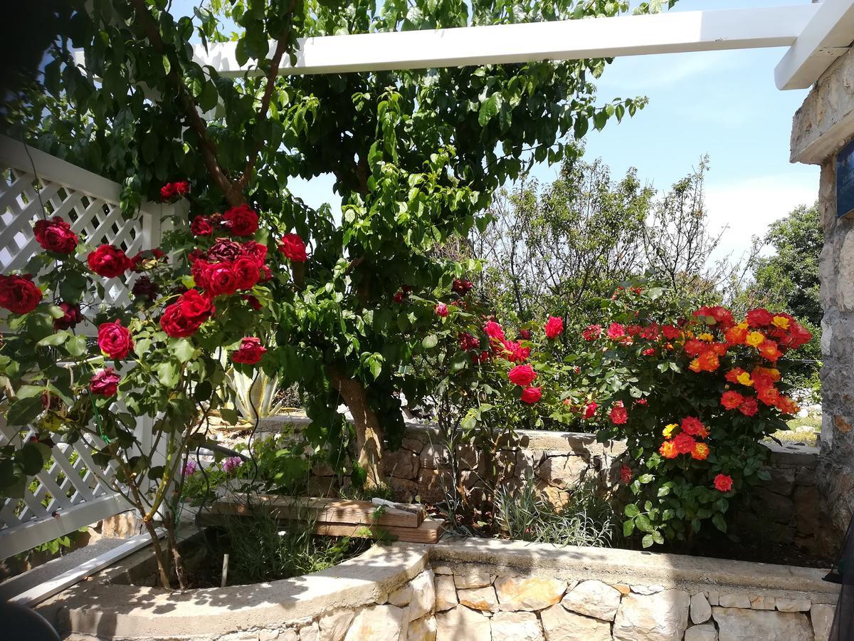 Apartment Neno - Terrace & Parking Veli Lošinj Eksteriør billede