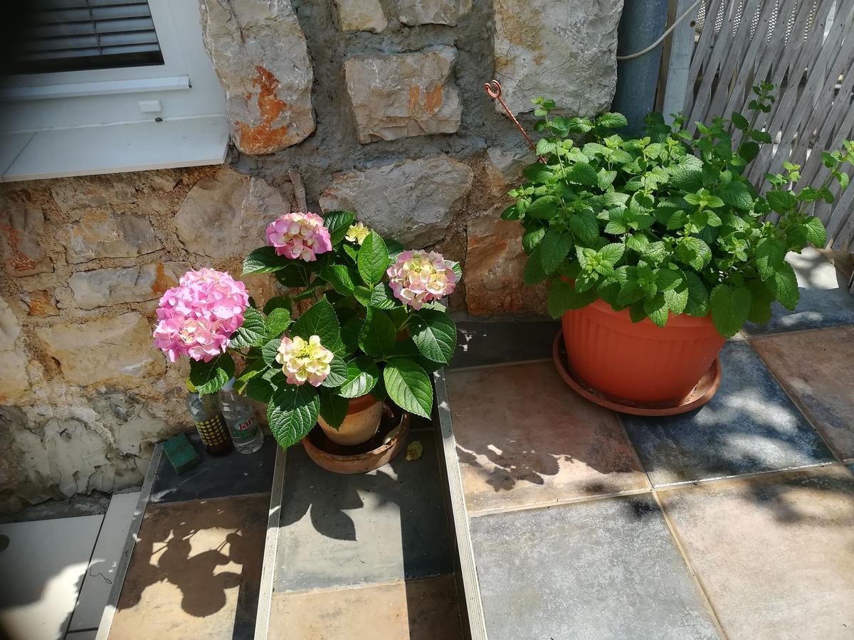 Apartment Neno - Terrace & Parking Veli Lošinj Eksteriør billede